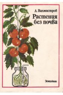Растения без почва