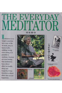 The Everyday Meditator