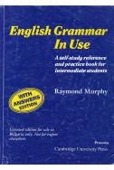 English Grammar in Use