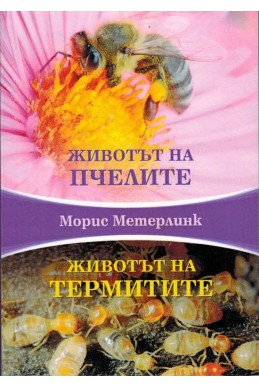 Животът на пчелите, Животът на термитите