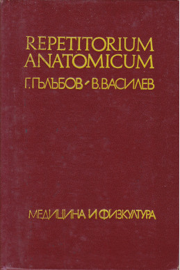 Repetitorium anatomicum