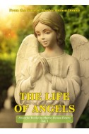 The life of angels