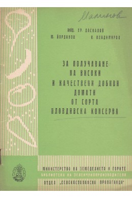 За получаване на високи и качествени добиви домати от сорта пловдивска консерва