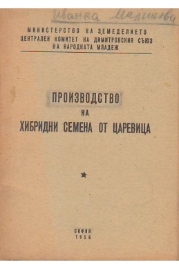 Производство на хибридни семена от царевица