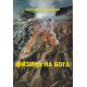 Физика на Бога