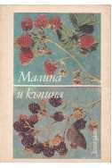 Малина и къпина