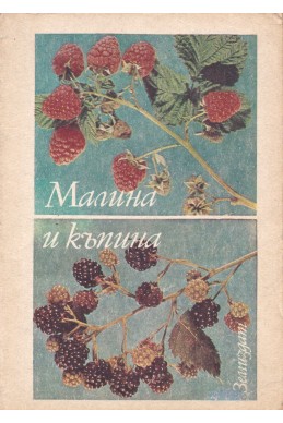 Малина и къпина