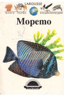 Моята първа енциклопедия Larousse: Морето