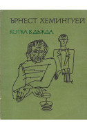 Котка в дъжда