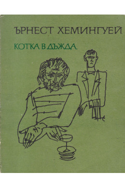 Котка в дъжда