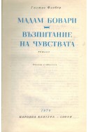 Мадам Бовари, Възпитание на чувствата