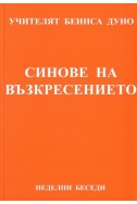 Синове на възкресението - НБ, серия Х, том 3, 1928 г.