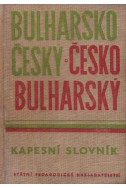 Българско-чешки / чешко-български джебен речник