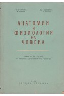 Анатомия и физиология на човека