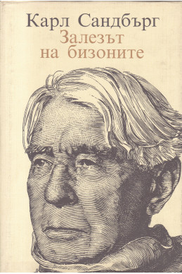 Залезът на бизоните